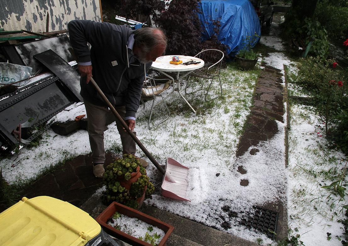 Grandine In Montagna Danni A Fiori E Piante