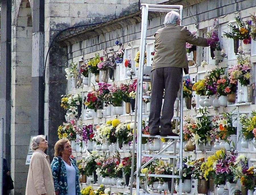 Fare Chiarezza Sullappalto Dei Cimiteri