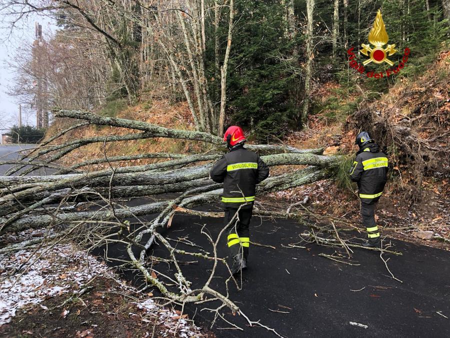 Pistoia Notte Di Forte Maltempo Allagamenti E Alberi Caduti