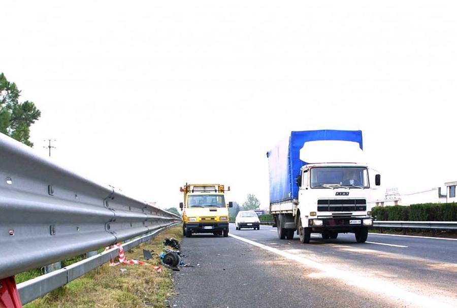 Montecatini Gatto Lanciato Dal Finestrino Di Unauto In Autostrada