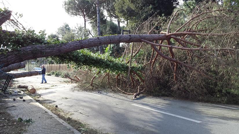 Tempesta Di Vento In Candia La Raffica Record Da 166 Km Orari