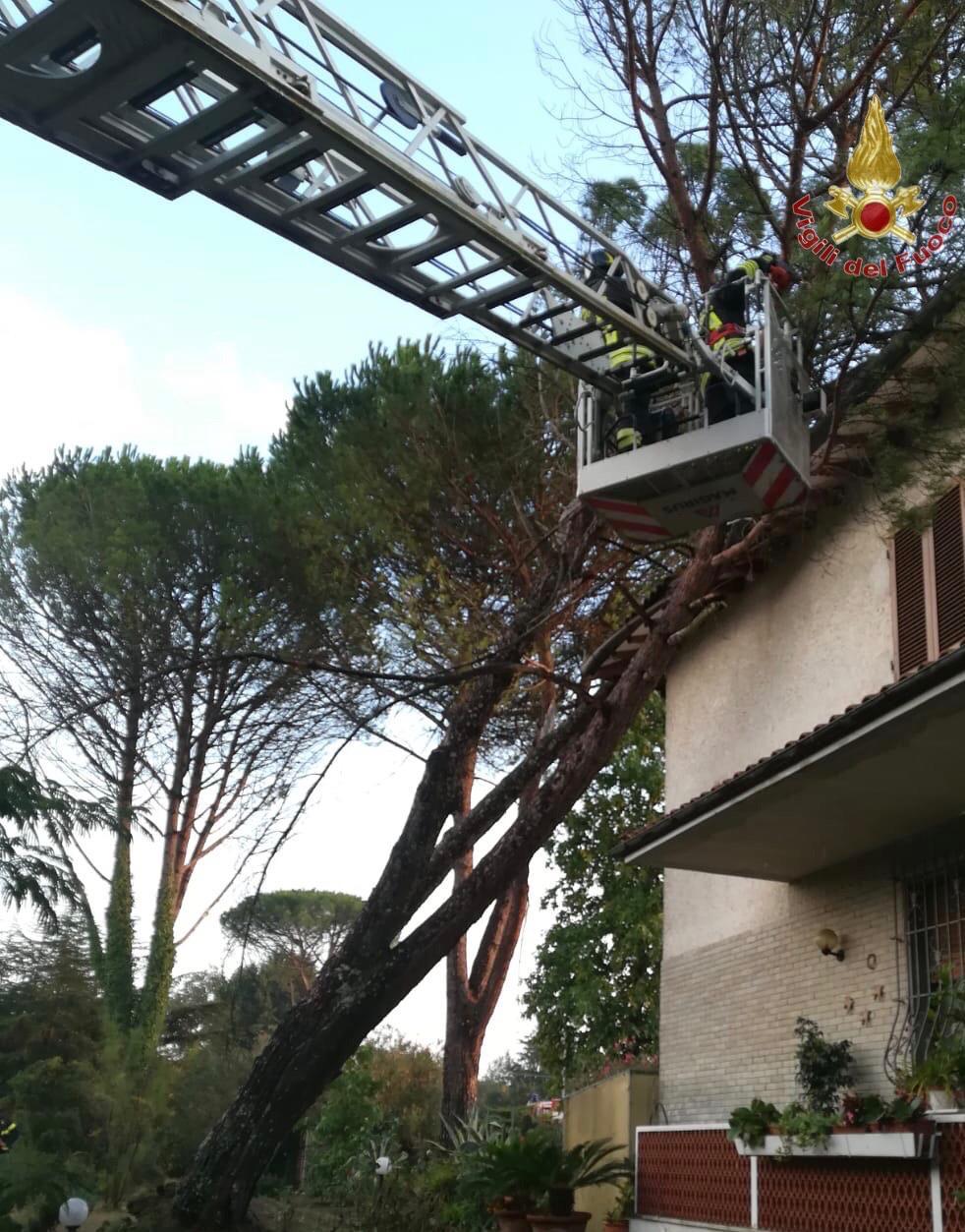 Maltempo Bufera Su San Miniato Decine Di Chiamate Ai Vigili Del Fuoco