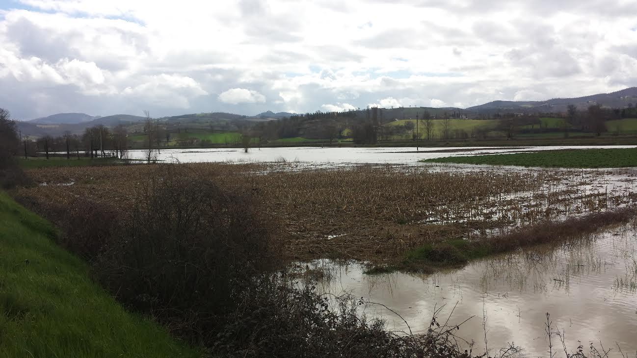 Maltempo Esonda Il Fiume Cerfone A Monterchi Campi Allagati E Frane