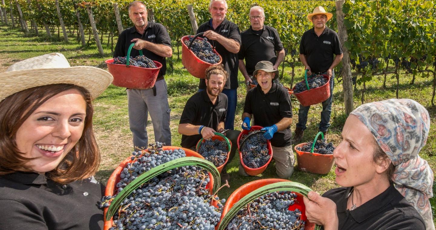 Un Piano Di Rilancio Sui Mercati Il Vino Chianti Sar Anche Spumante