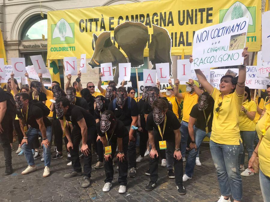 Contro I Cinghiali Ora Lesercito