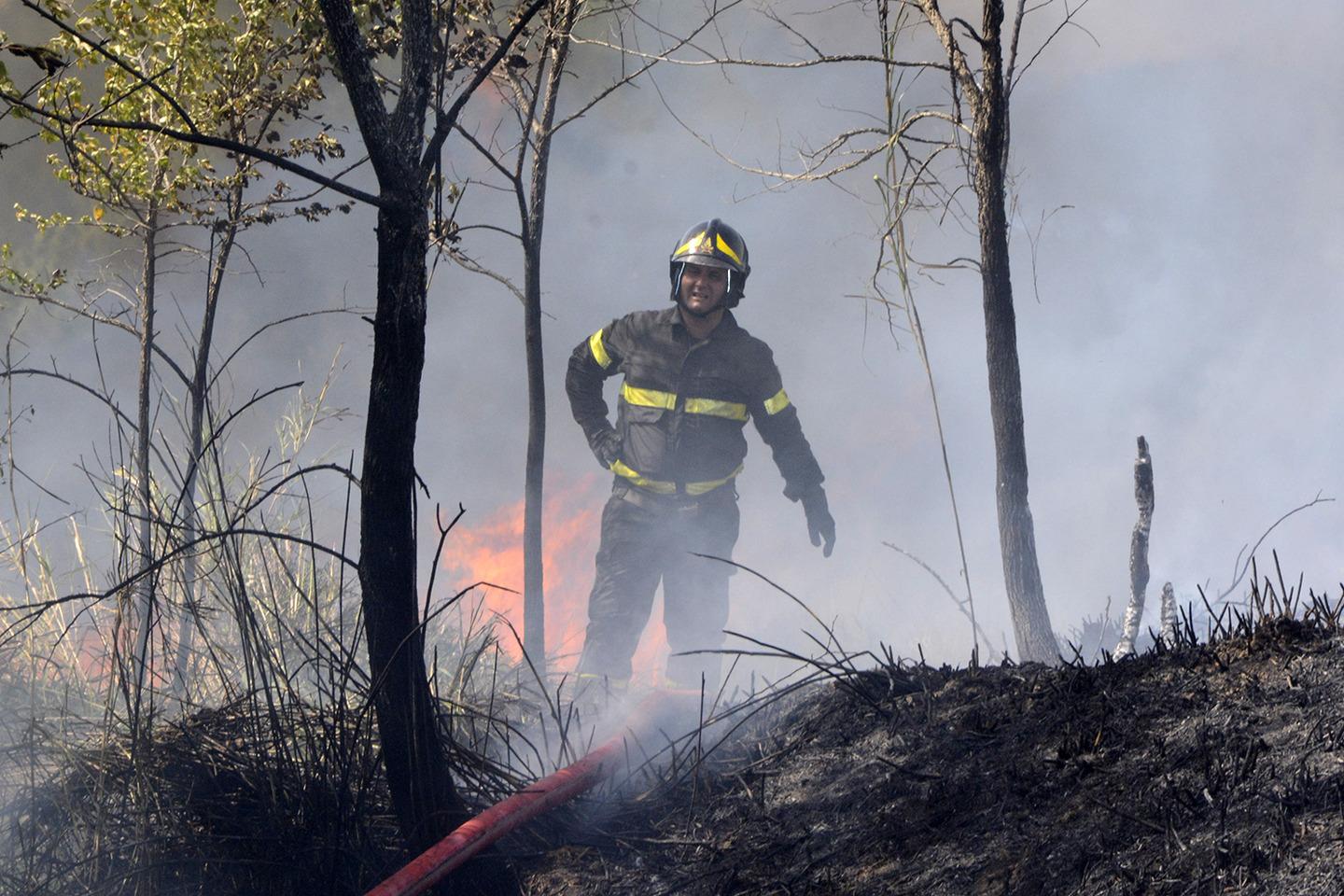 Un Incendio Distrugge Ettari Di Bosco