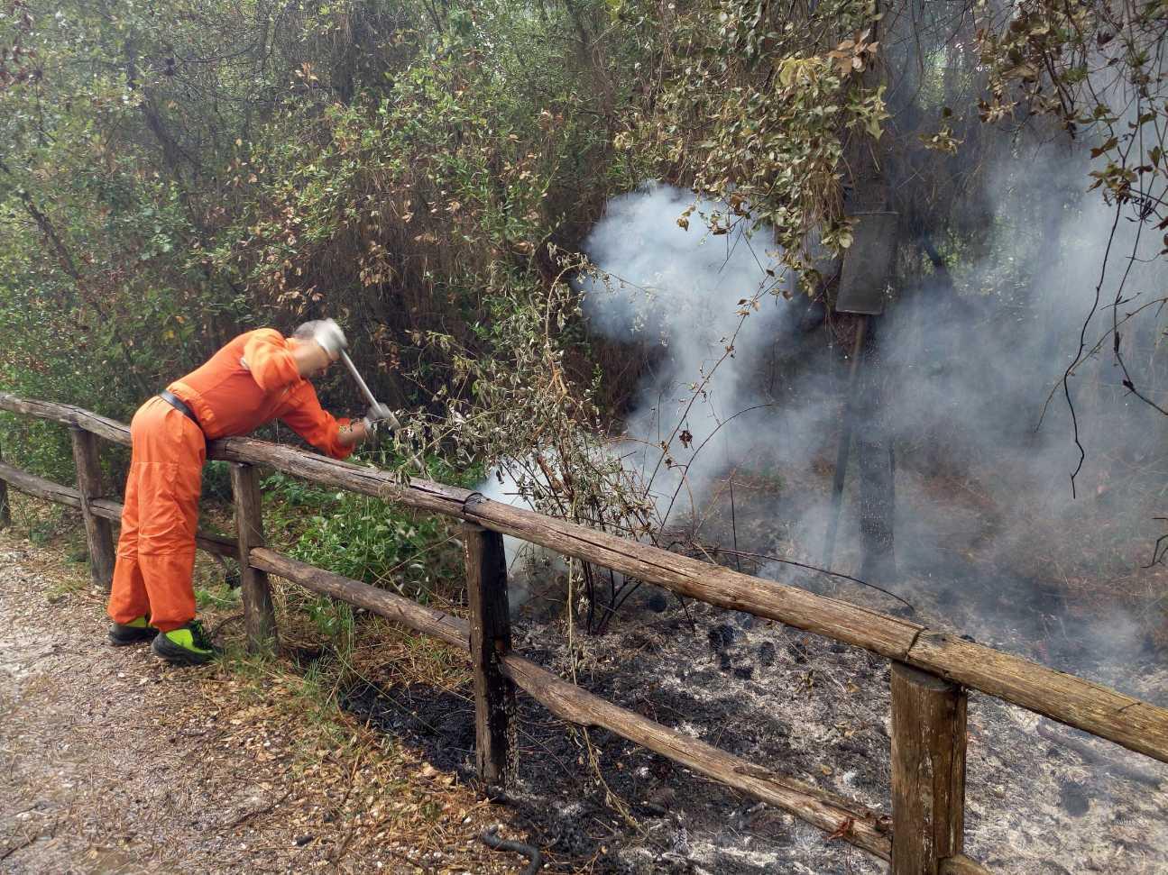 Nuovo Incendio In Versilia Quattro Ettari Di Bosco In Fiamme