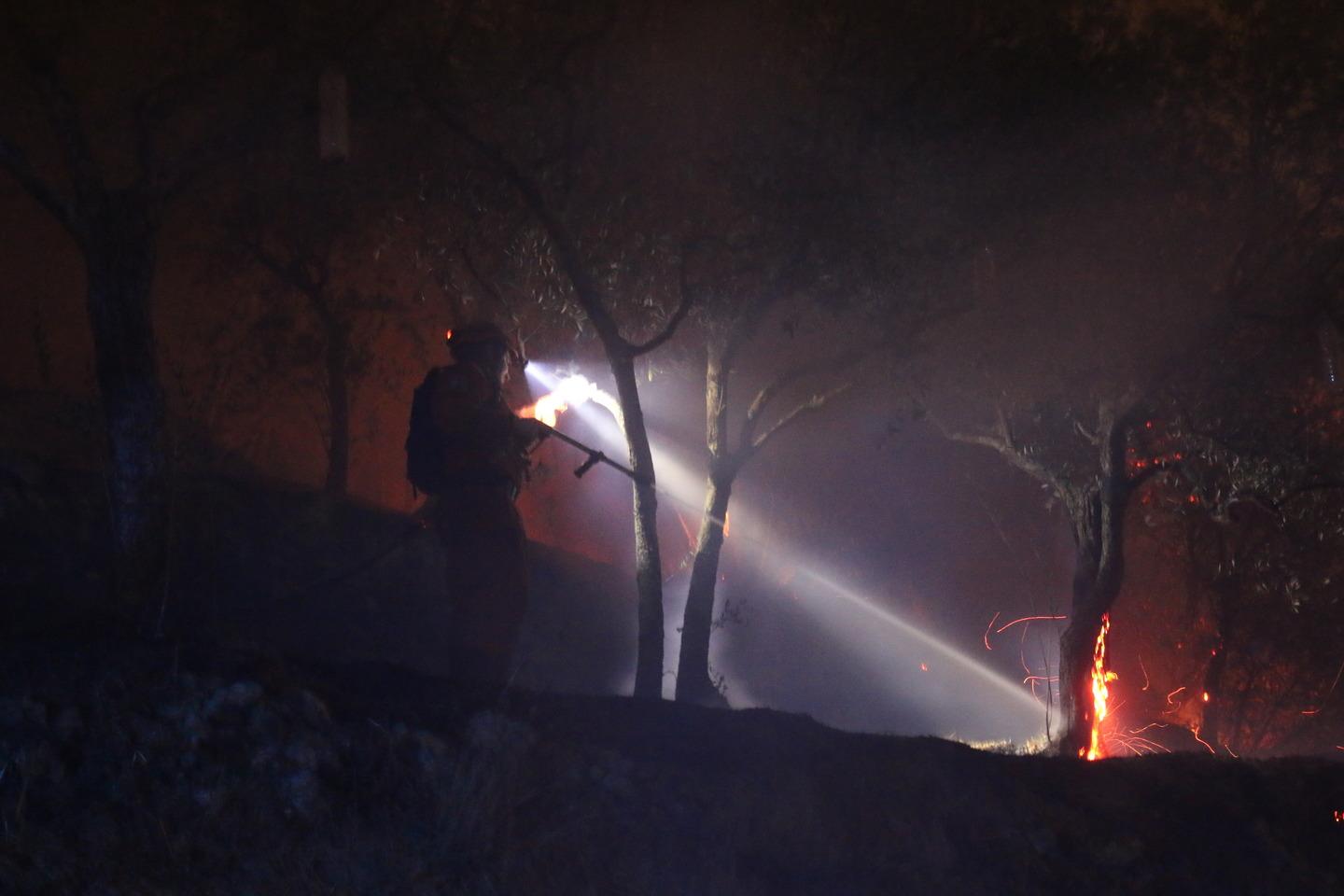 Monte Serra Riprende L Incendio Due Focolai Intervento Dei Vigili