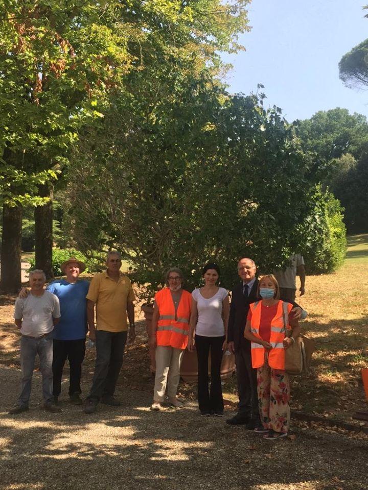 Montecatini Storica Gardenia Da Una Tonnellata Torna Al Tettuccio