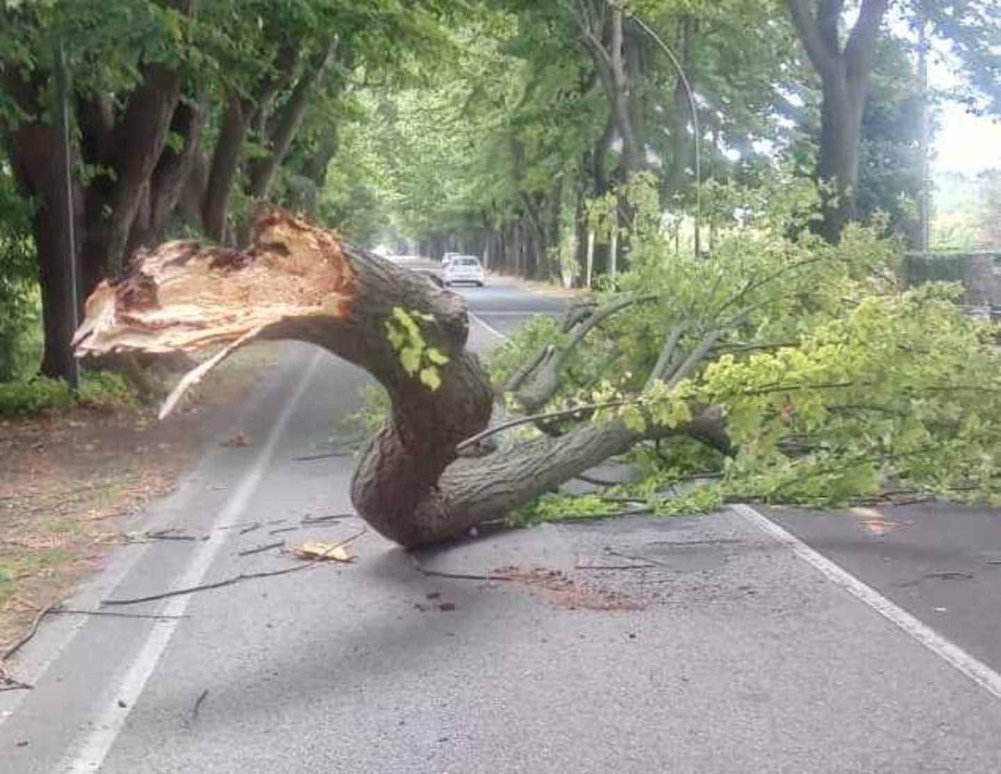 Maltempo Temporali E Forte Vento Spazzano La Costa