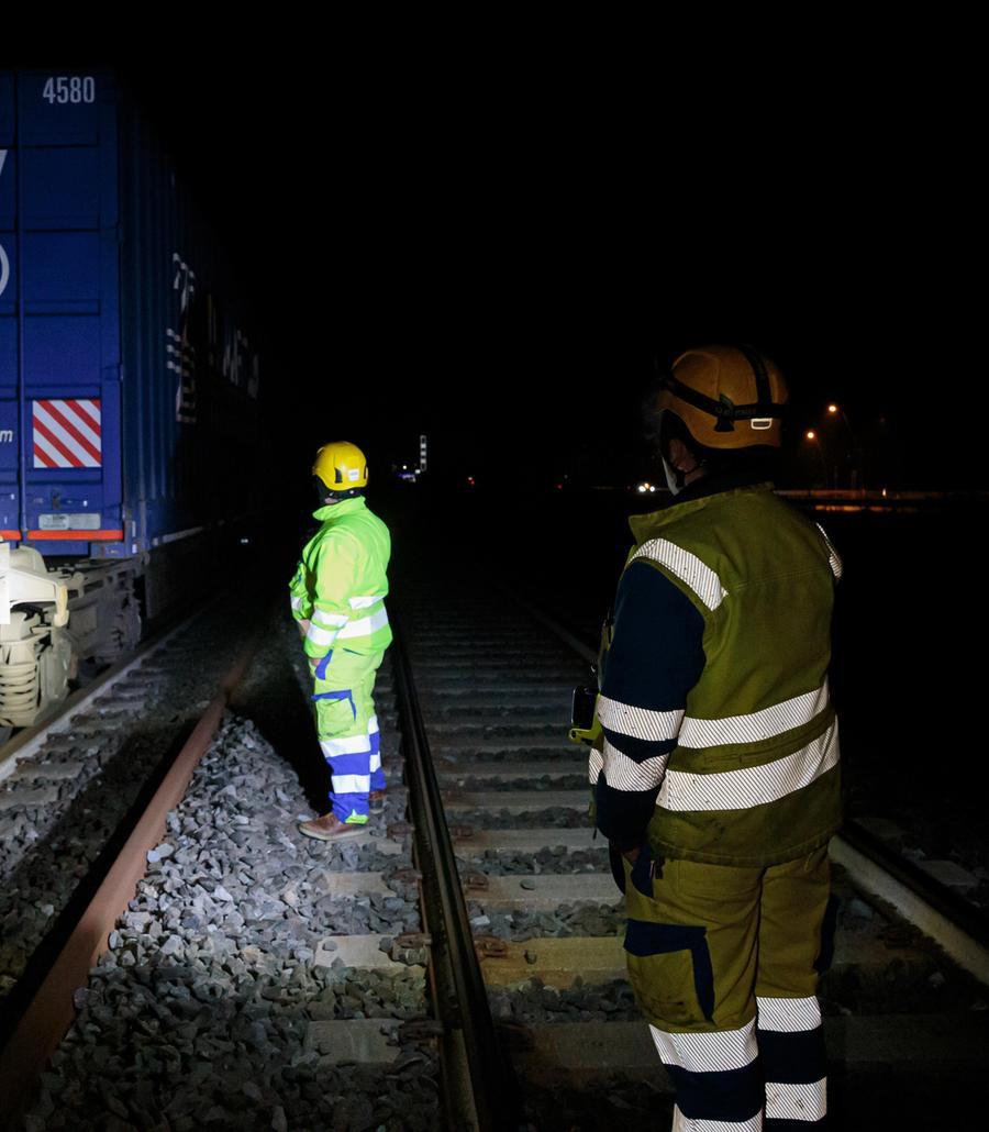 Muore Travolto Dal Treno Insieme Al Cane