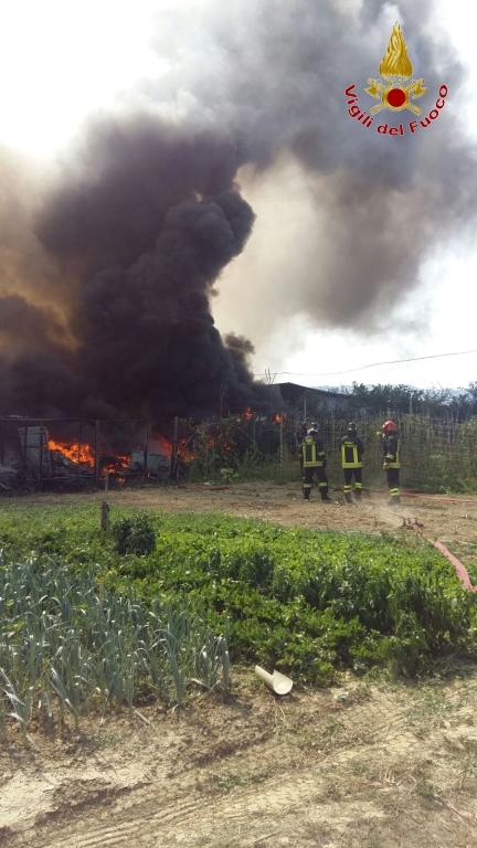 Incendi Toscana Senza Tregua Otto Roghi In Una Giornata