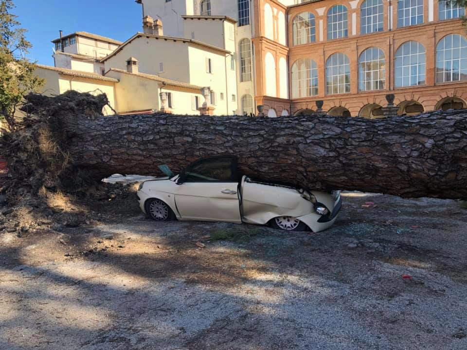 Vento Alberi Caduti Sulla E45 Tragedia Sfiorata A Foligno