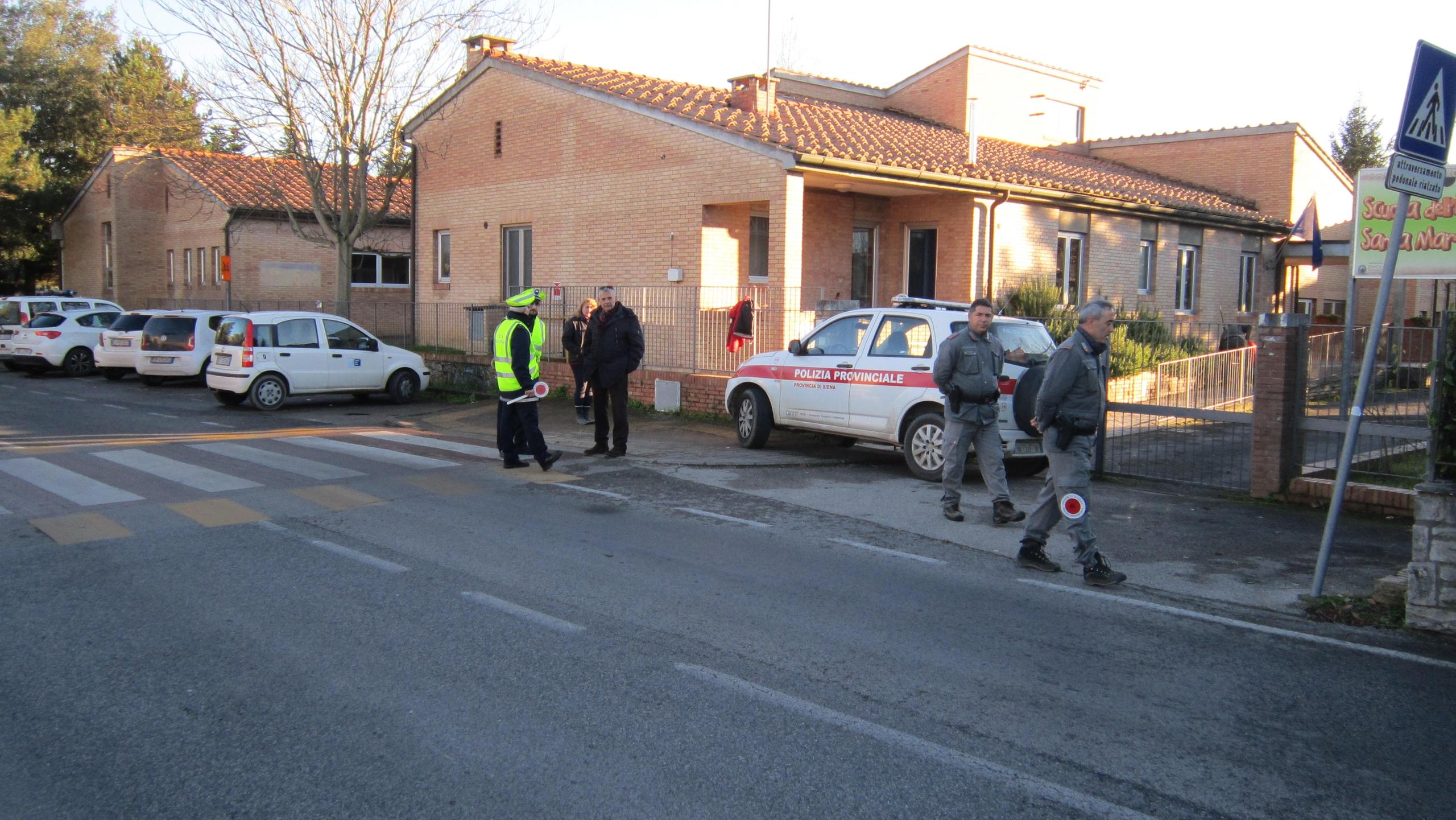 Siena Caccia Al Cinghiale Fra Le Abitazioni Di Scacciapensieri Video