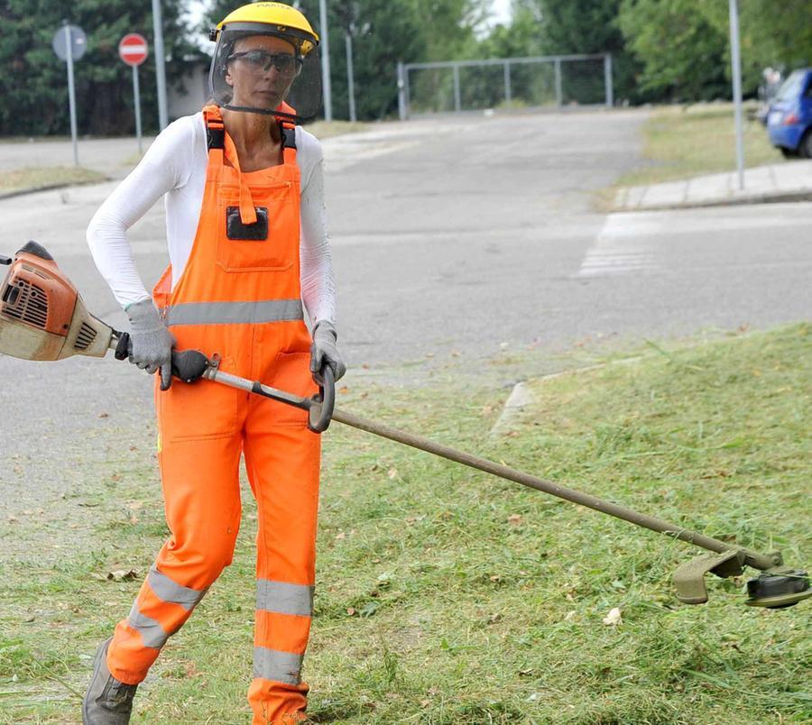 Lavori Di Sfalcio E Manutenzione Sulla Napoleonica Senso Unico