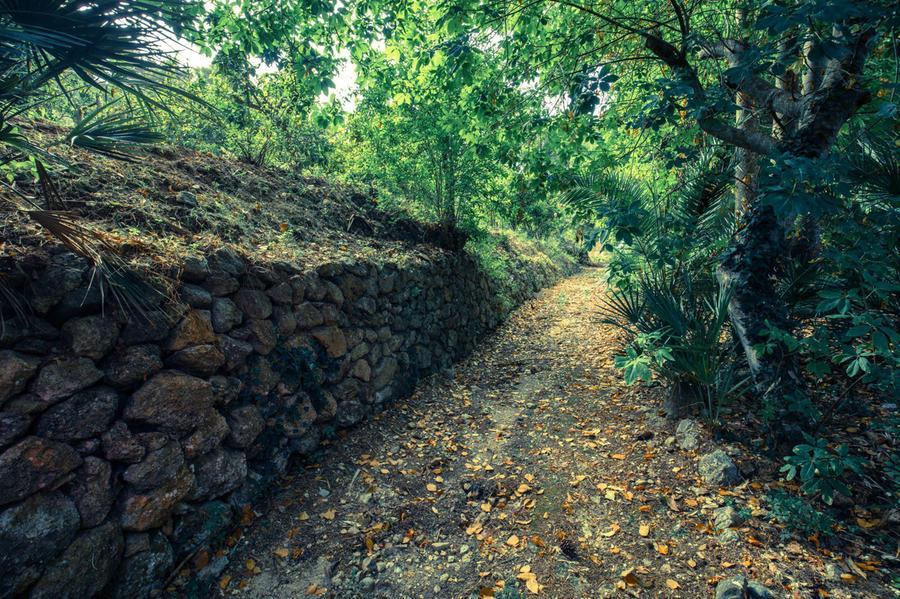 Orto Botanico Corsini Prima Apertura Al Pubblico