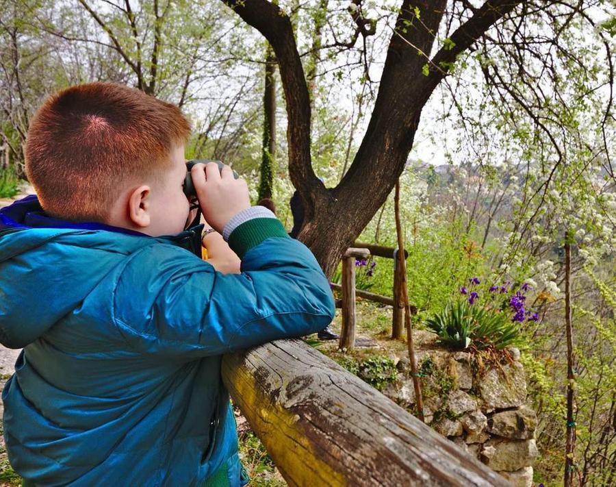 A Lezione Di Natura Nel Bosco Didattico Della Scuola