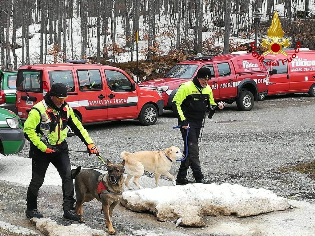 Vigili Del Fuoco Con I Cani Alla Ricerca Delle Persone Sotto Le