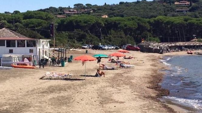 La Spiaggia Deserta Di Ansedonia La Moria Dei Pesci Continua A Far Danni