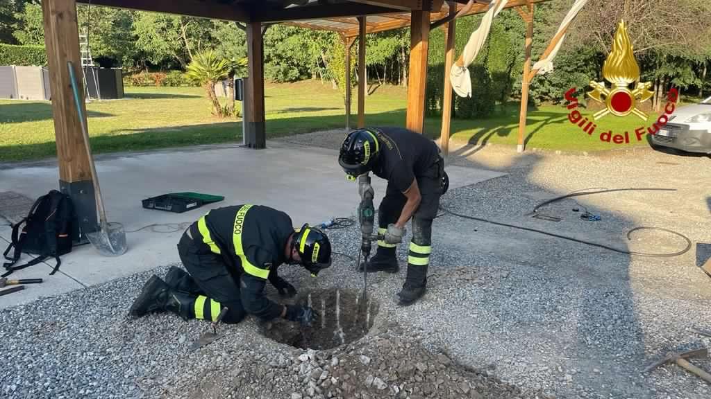 Cane Incastrato In Un Tubo Sottoterra Lo Salvano I Vigili Del Fuoco