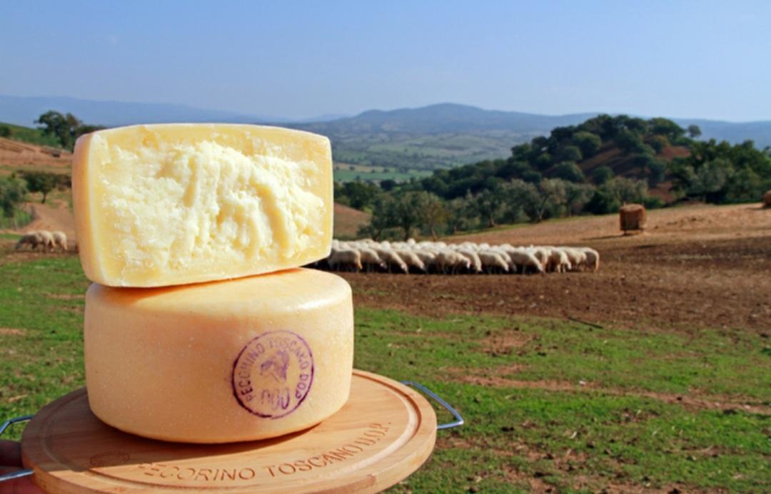 Il Pecorino Toscano Tra I Formaggi Pi Buoni Al Mondo