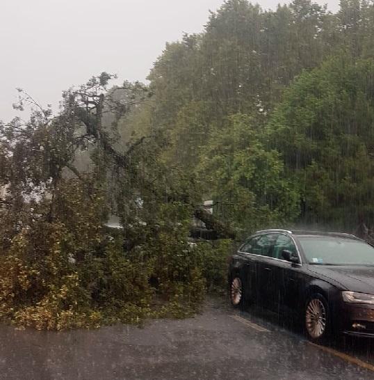 Maltempo A Viareggio Passeggiata Allagata Albero Cade Su Un Auto