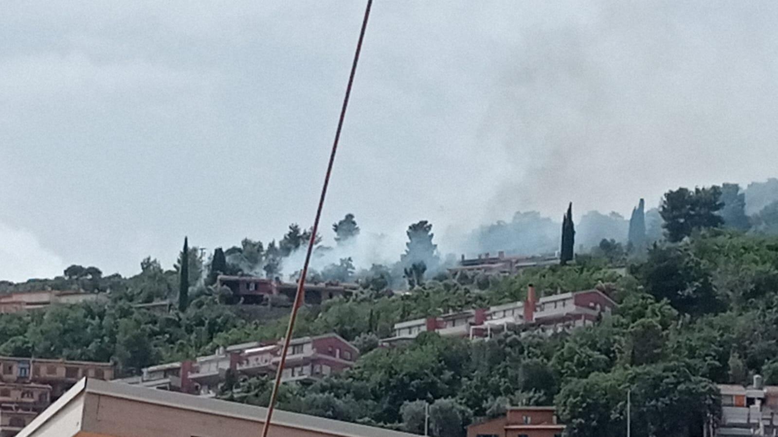 Incendio AllArgentario Fiamme A Carrubo Vicino Alle Abitazioni