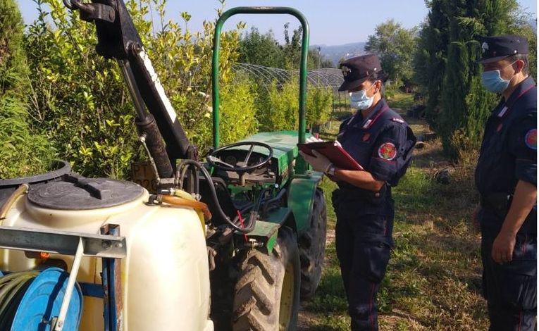 Fitofarmaci Irregolari Su Piante E Ortaggi Denunce Sequestri E Multe