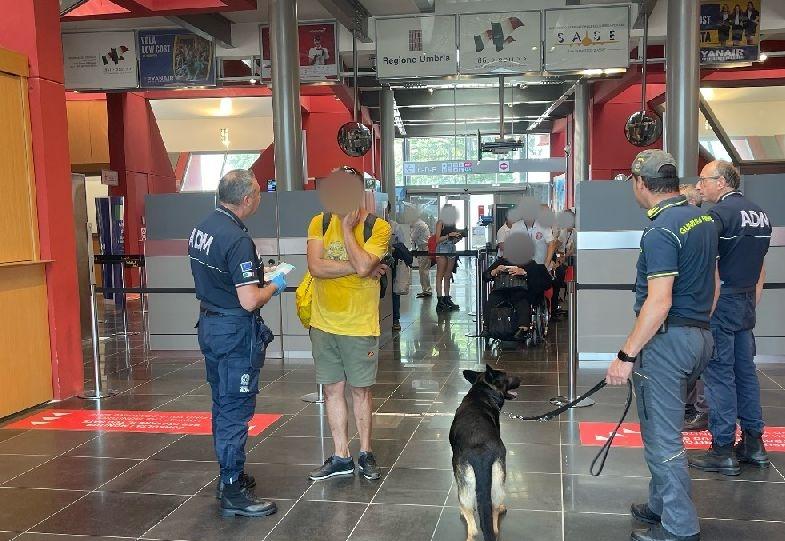 In Aeroporto Con La Droga La Fiutano I Cani Della Finanza Due Giovani