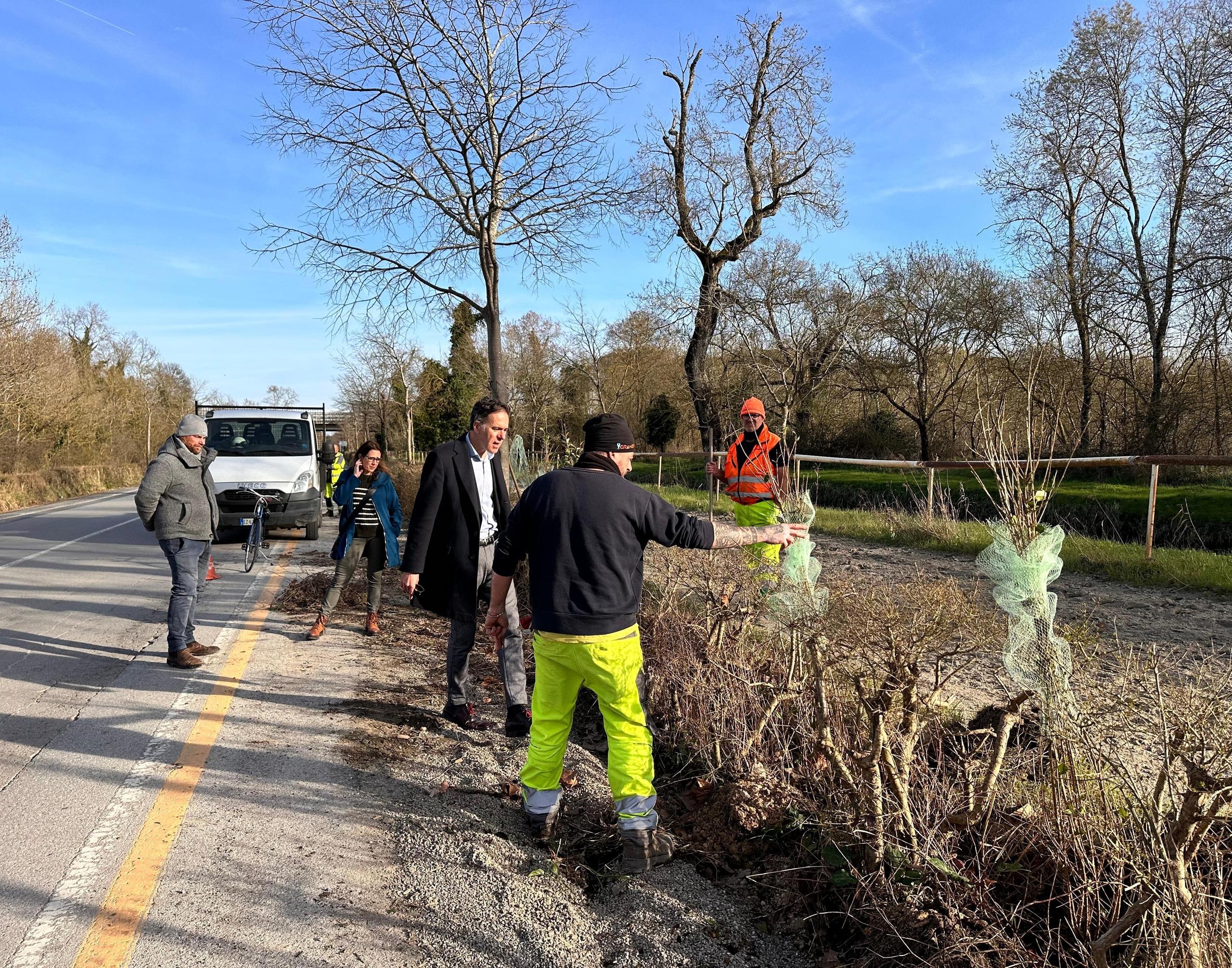 Lavori In Corso La Realizzazione Della Nuova Pista Ciclabile Del Viale