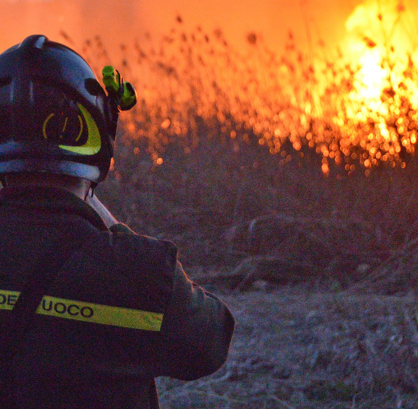 Incendio A Montalcino Bruciati Cinque Ettari Di Bosco