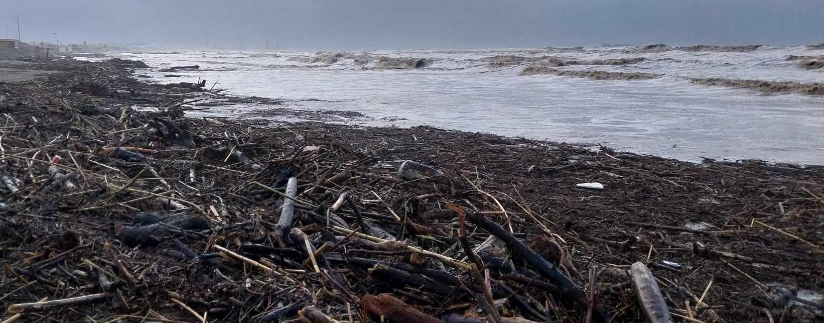 Prorogata Lordinanza Di Abbruciamento Del Legname Sulla Spiaggia