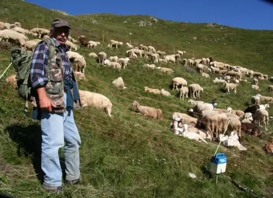 Manciano sotto stress Poi Roccalbegna