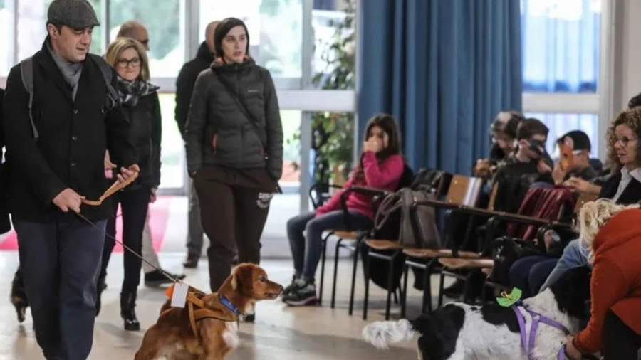 Empoli, torna la “Festa del cane bastardino” al PalaExpo