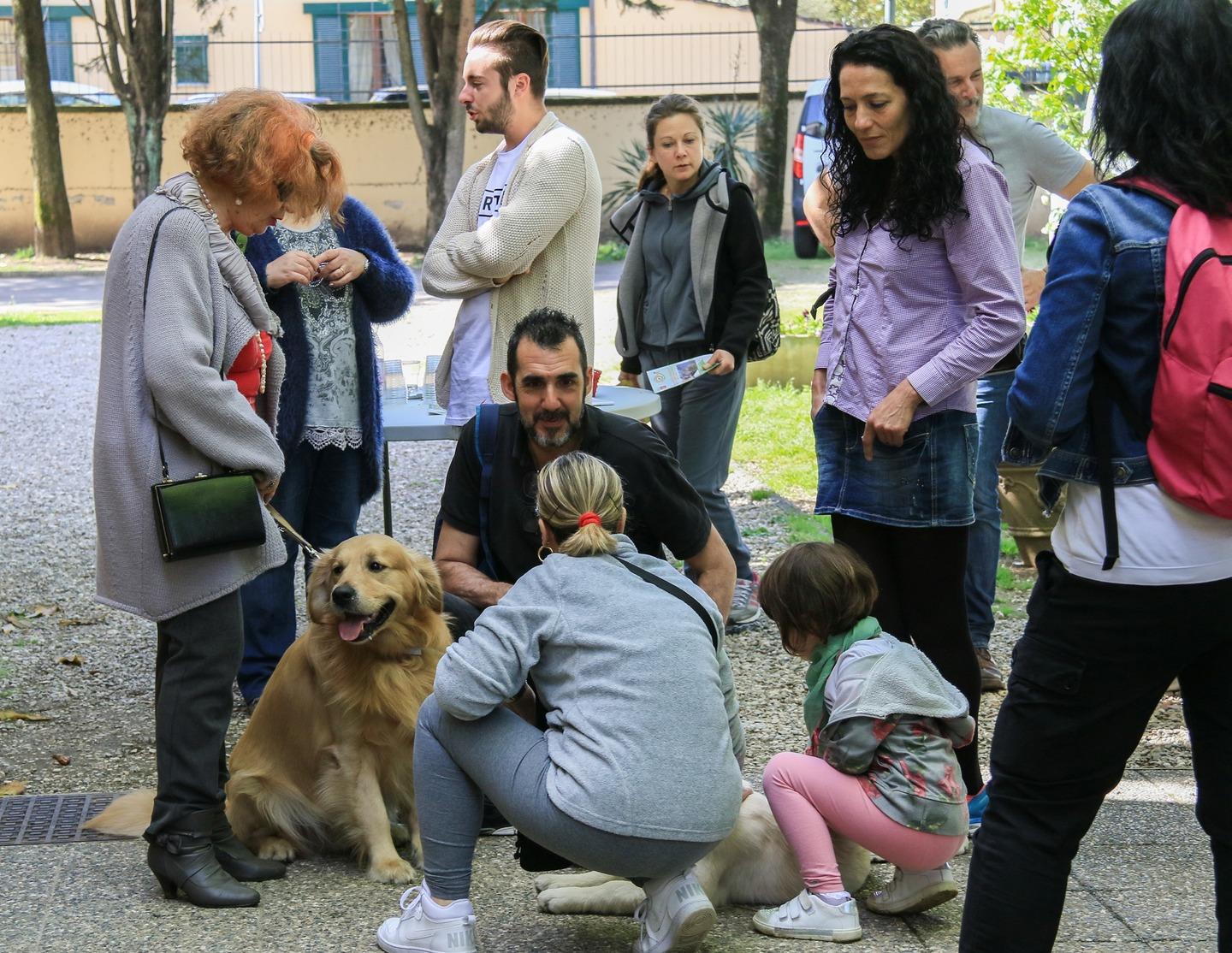 Cani Per Ciechi, Open Day: Ecco Come Adottare Un Cucciolo / FOTO / VIDEO