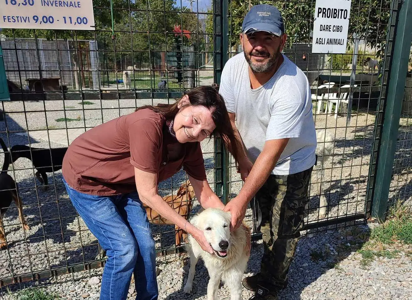 Mattanza di cuccioli nel cassonetto. Otto cani uccisi e chiusi in un sacco.  È caccia al killer, video al setaccio