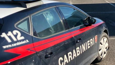 I controlli dei carabinieri (foto Ansa)