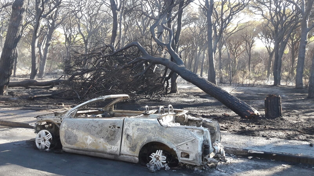 Marina di Grosseto, triste risveglio dopo l'incendio 