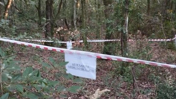 Fungaioli trovano un ordigno bellico, i carabinieri lo fanno brillare