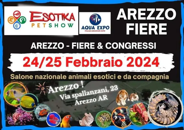 Cosa fare a Arezzo oggi La Nazione Arezzo