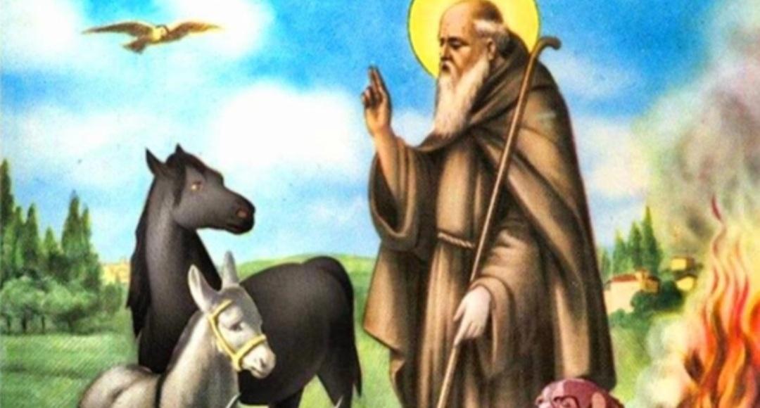 Sant'Antonio Abate, la festa del patrono degli animali tra storia,  curiosità e tradizioni