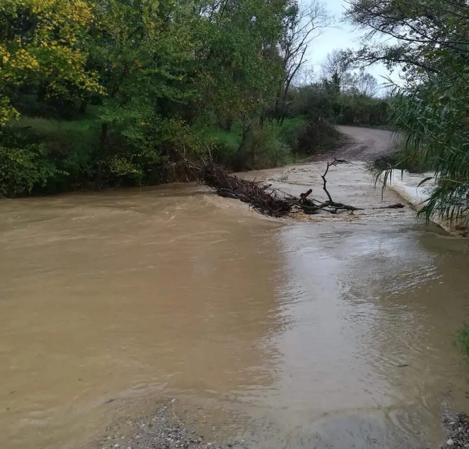 Maltempo. Piove Senza Tregua, Nel Grossetano Straripano Fossi E ...