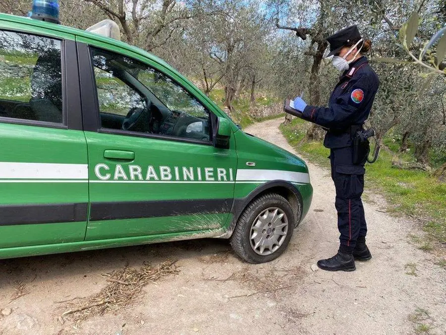 Quattro lavoratori in nero scovati in un'azienda di Borghetto Vara