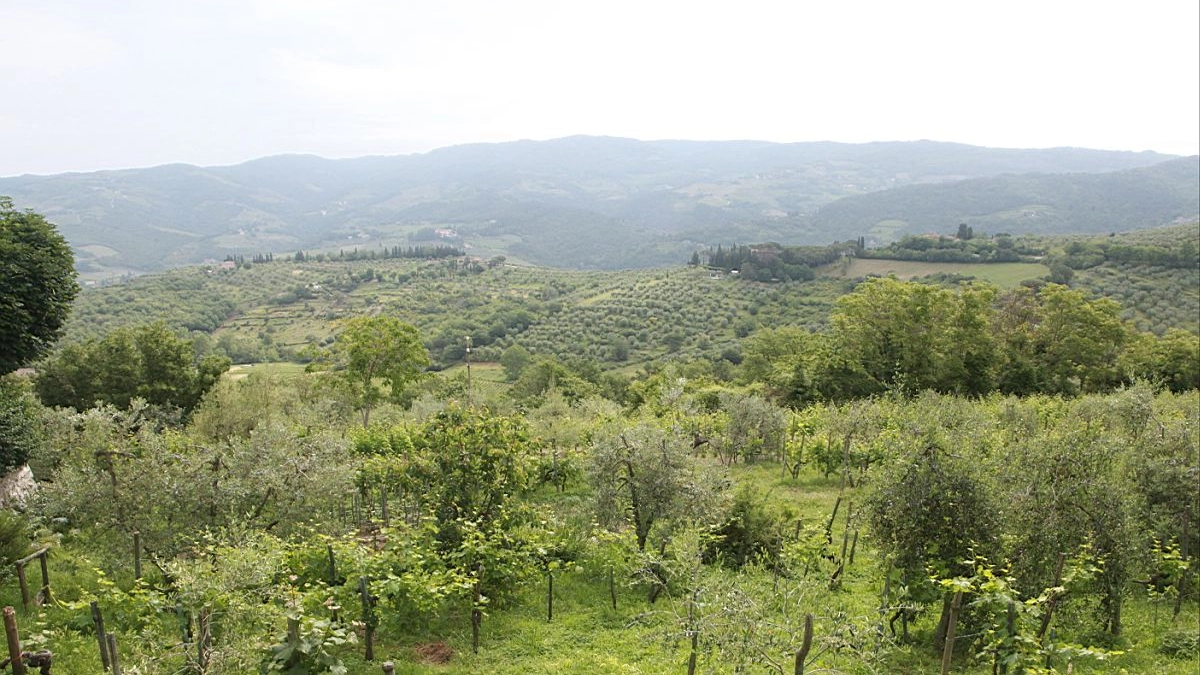 Il Chianti in versione sorbetto. La novità conquista l’Oriente