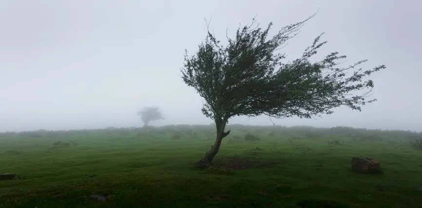 Maltempo: prolungata l'allerta gialla sulla Toscana