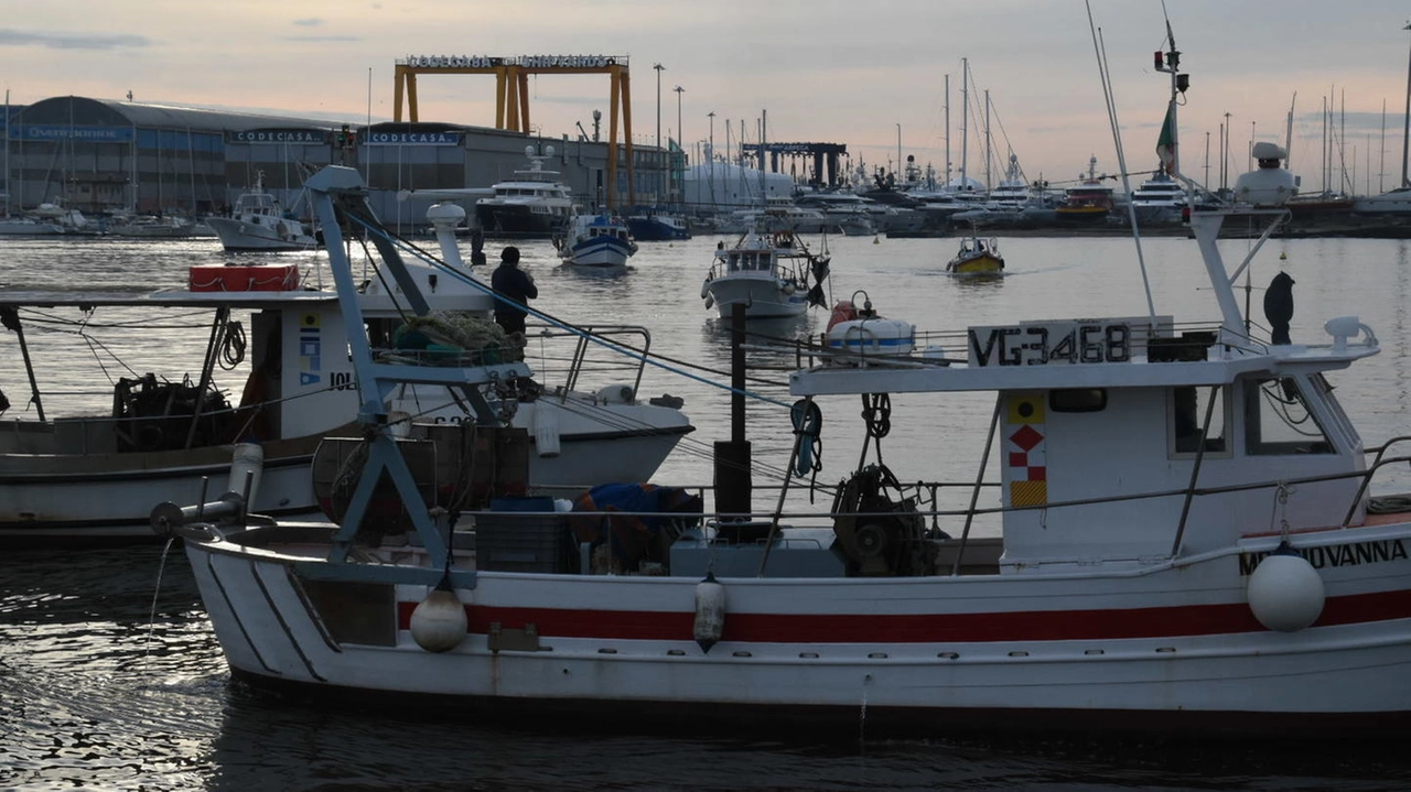 Porto di Viareggio, i sindacati: “Situazione drammatica per i lavoratori”