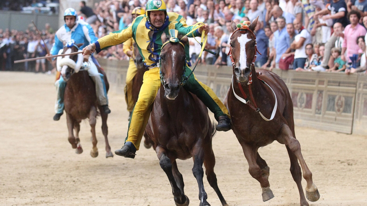 Siena, Palio dell'Assunta 2019 da brividi. Vince la Selva col cavallo scosso