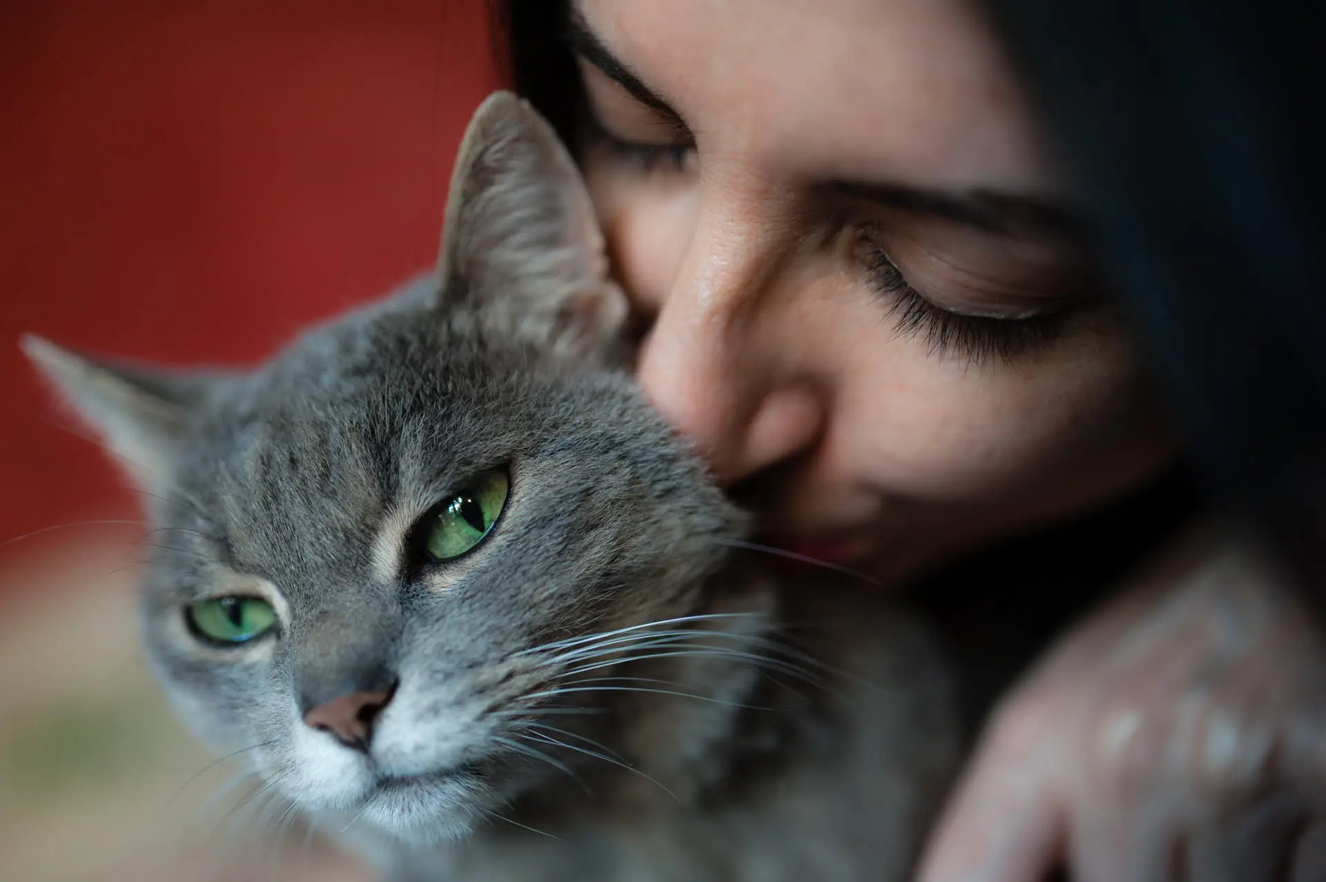 La psicologa dei gatti, Elena Angeli