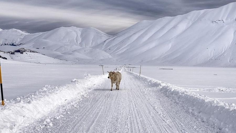 Inverno gelido a Castelluccio di Norcia