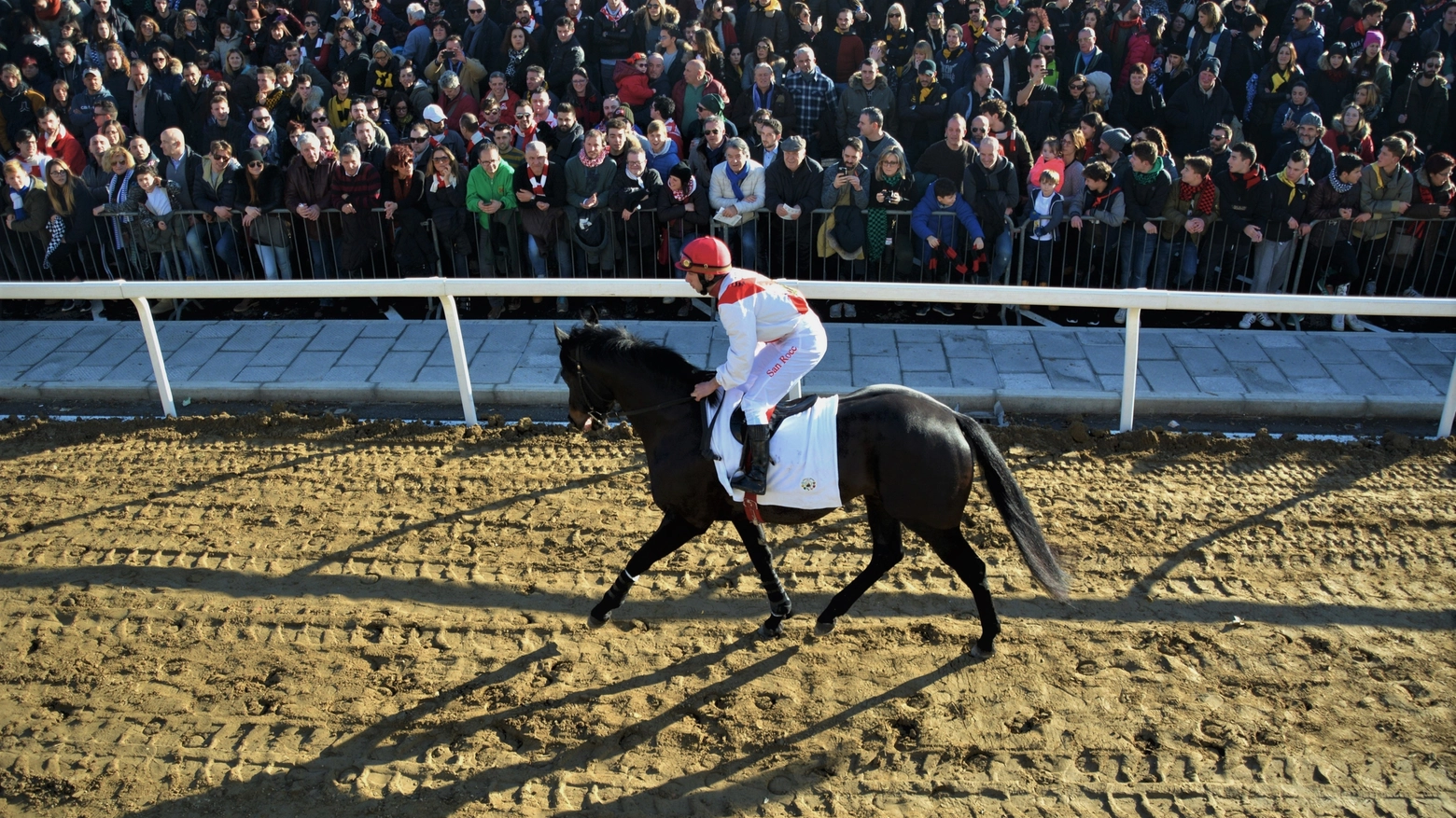 Un momento della corsa della contrada San Rocco